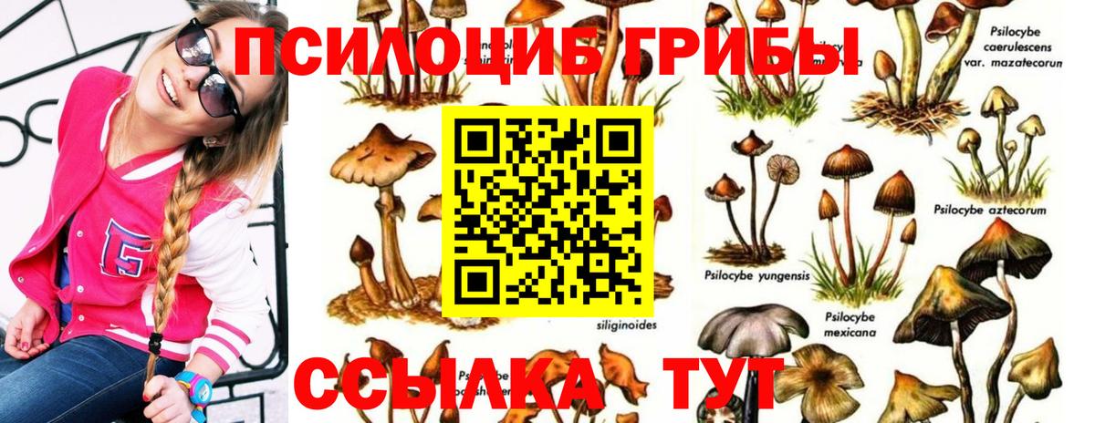 Галлюциногенные грибы GOLDEN TEACHER Кушва